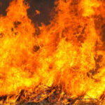 Incendios forestales: cuando la justicia se abre camino entre las llamas